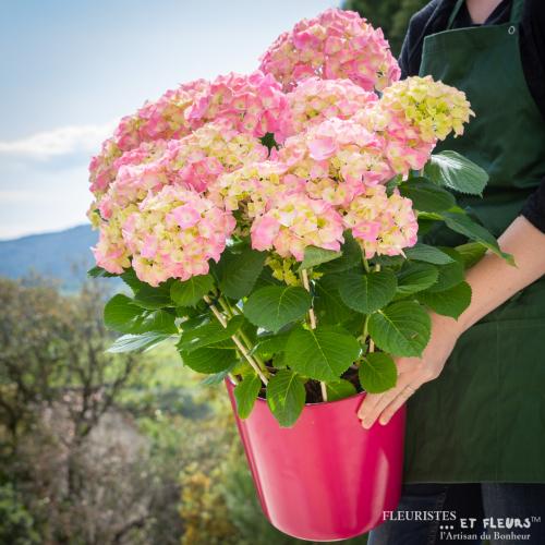 naissance photo bouquet naissance
